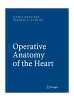 Operative Anatomy of the Heart