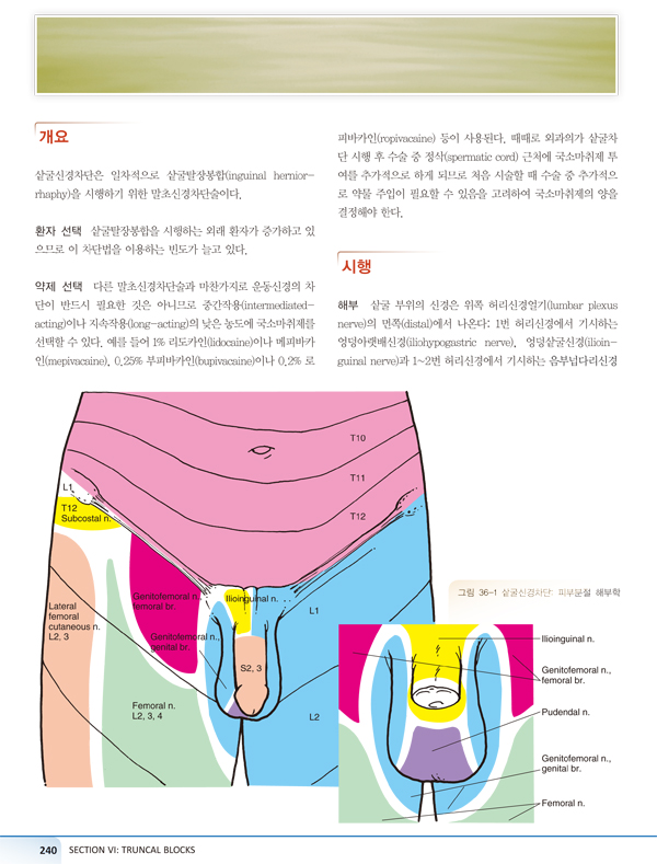 신경블록 술기 아틀라스 - 임상의를 위한