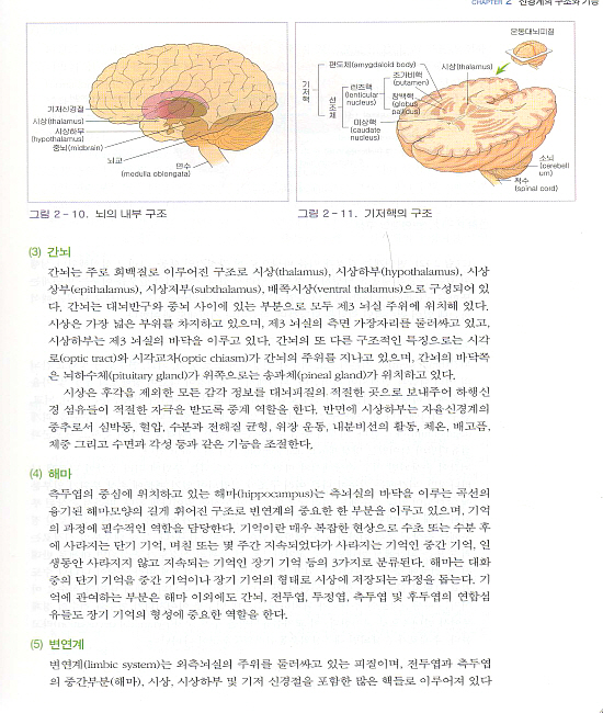 신경계 중환자간호,2판