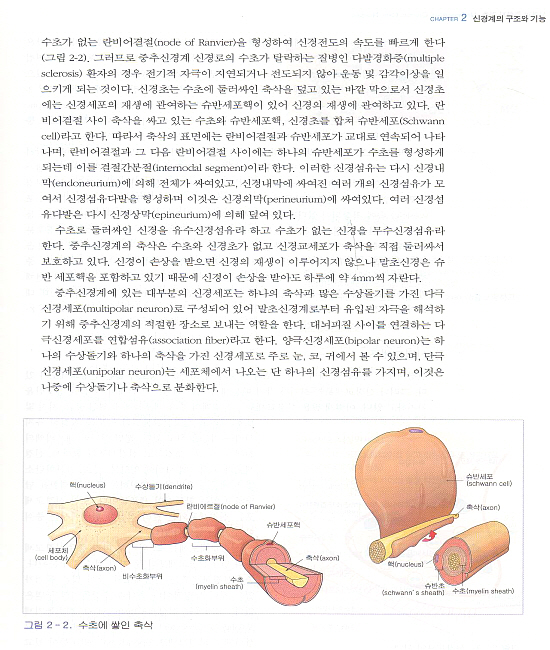 신경계 중환자간호,2판