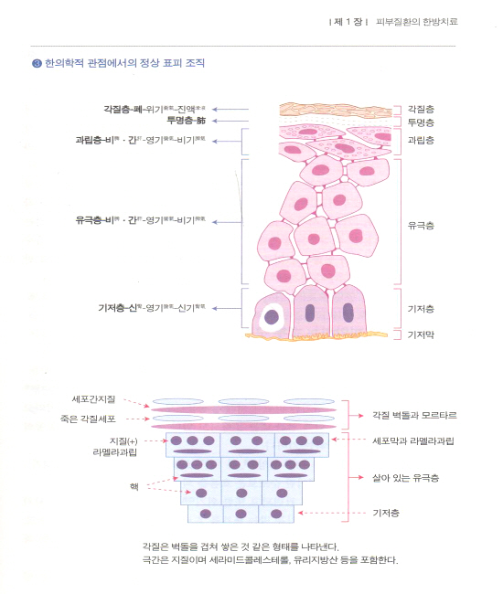 피부질환의 한방치료(사진과 증례로 배우는)