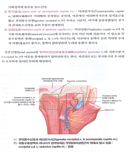 개원의를 위한 통증사냥법 개정증보판