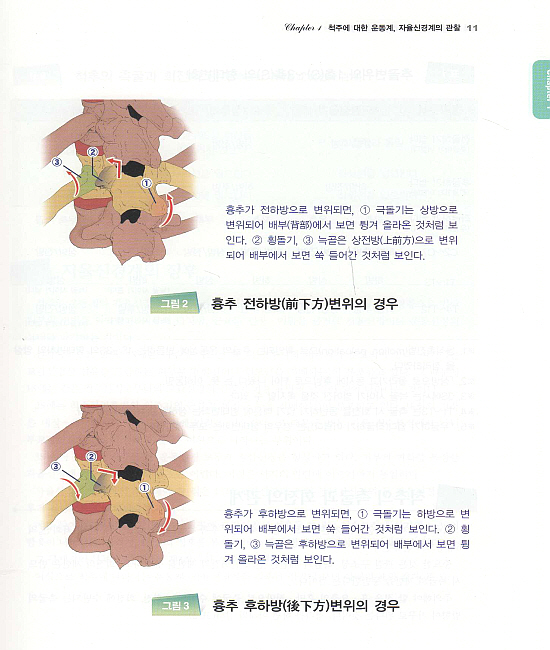 내장체성반사에 의한 체형조정법 [페이퍼백]