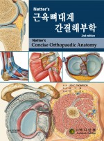 Netter's 근육뼈대계 간결해부학 2판