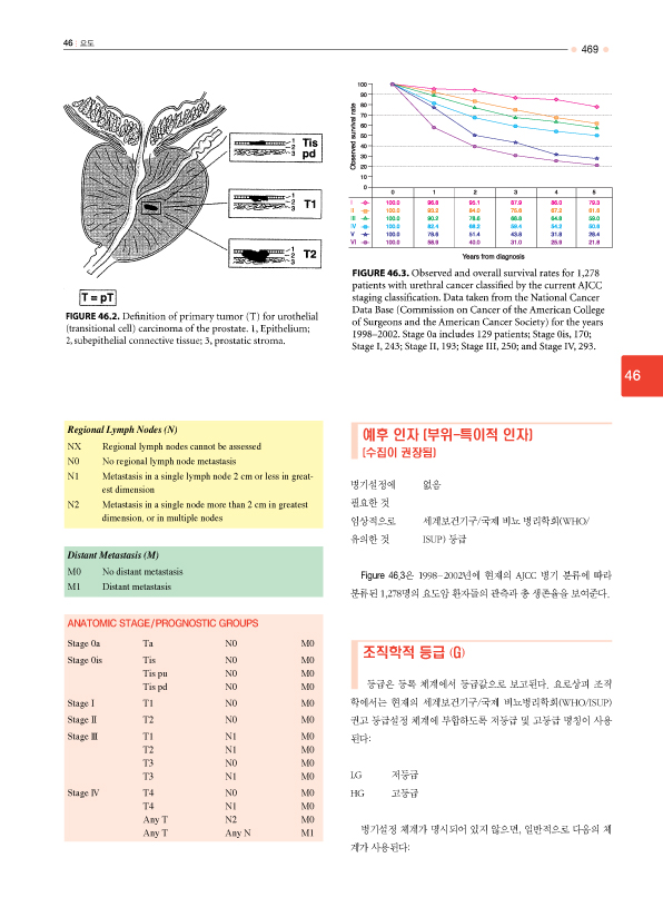 암 병기설정 메뉴얼 CD포함 AJCC Cancer Staging Manual  (7판번역본)