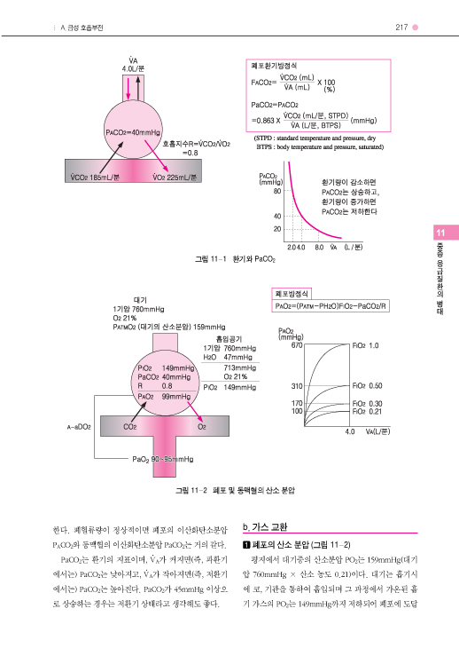 표준응급의학