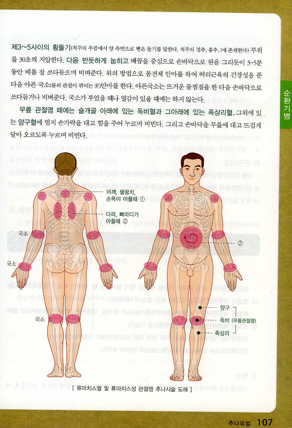 249가지 증상별 뜸 시술법