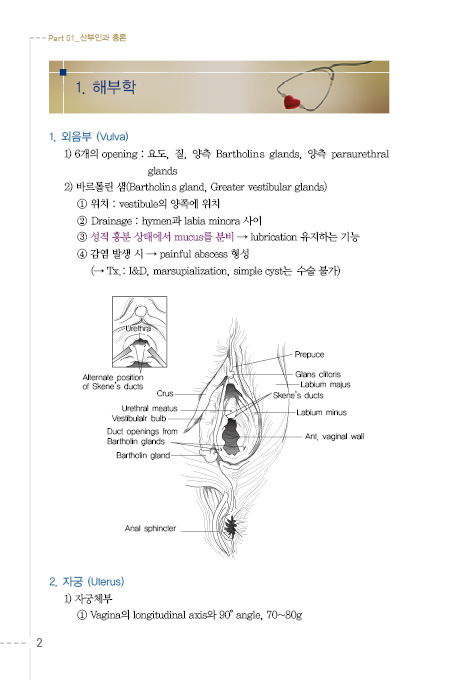 포인트 산과,부인과 매뉴얼 -KMLE 의사 국가고시 완전마스터-