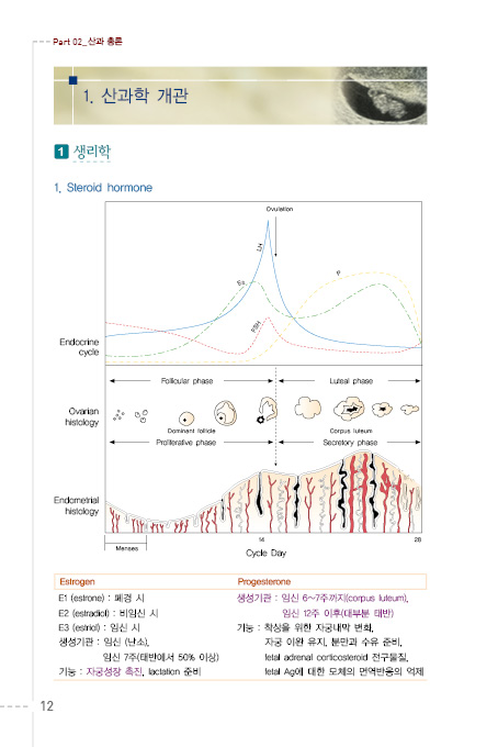 포인트 산과,부인과 매뉴얼 -KMLE 의사 국가고시 완전마스터-