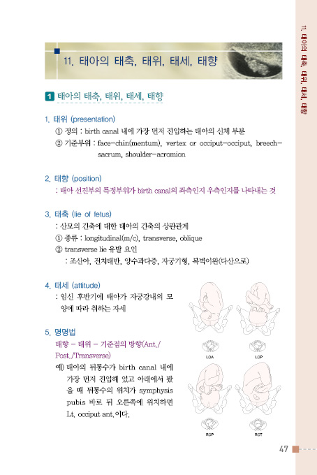 포인트 산과,부인과 매뉴얼 -KMLE 의사 국가고시 완전마스터-