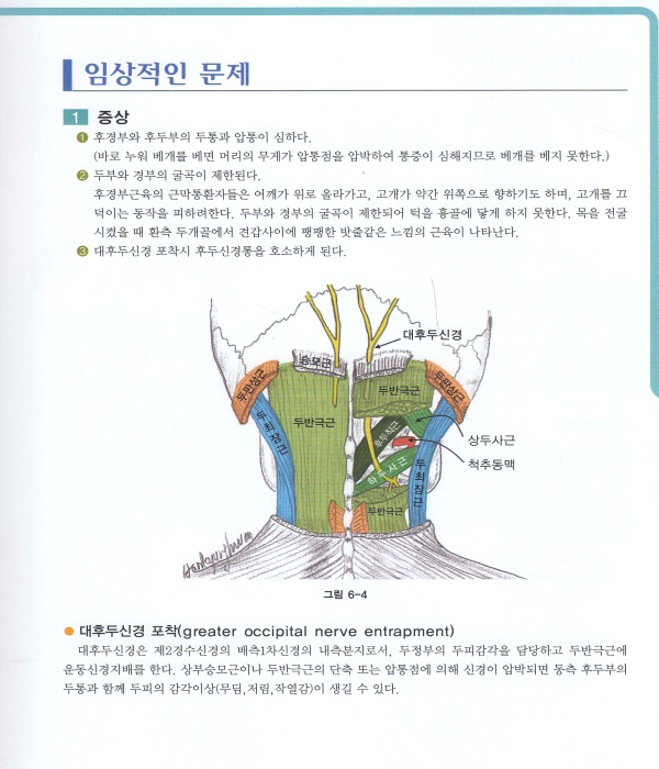 근육학 [양장본]