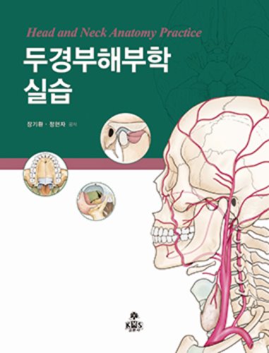 두경부해부학실습