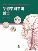 두경부해부학실습