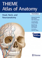 Head, Neck, and Neuroanatomy 3e