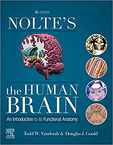 Nolte's The Human Brain: An Introduction to its Functional Anatomy 8e