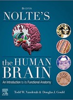Nolte's The Human Brain: An Introduction to its Functional Anatomy 8e