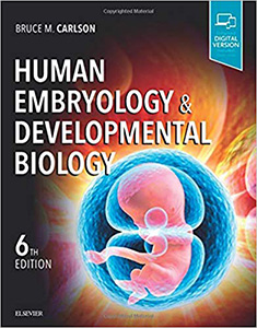 Human Embryology and Developmental Biology 6e