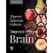 Diagnostic Imaging: Brain, 4th Edition