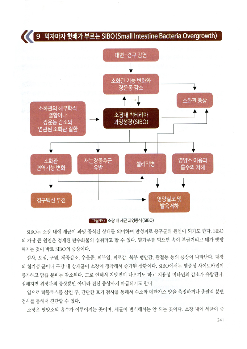 최수용의 기능의학 해설