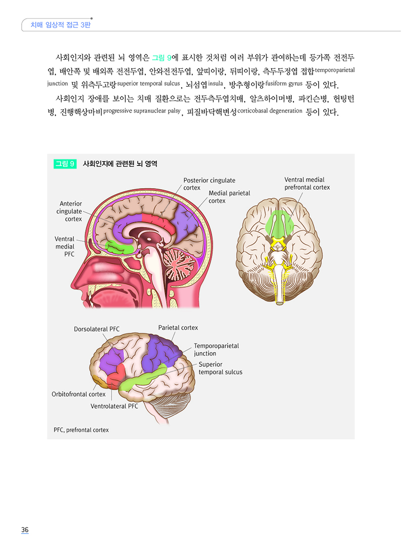 치매 임상적접근 3판