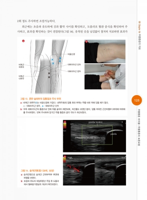 무릎통증 바이블 (무릎통증의 보존요법)
