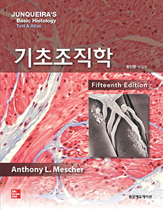 기초조직학 15판-Junqueira’s Basic Histology 15e 번역