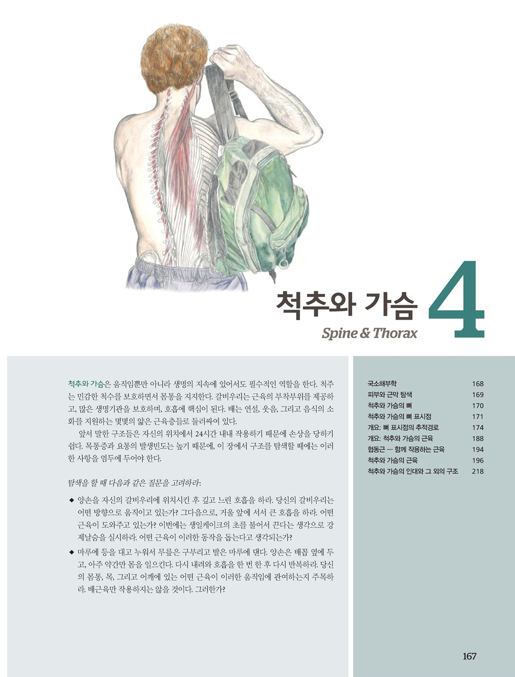 근육뼈대계통 Palpation Road map 6판