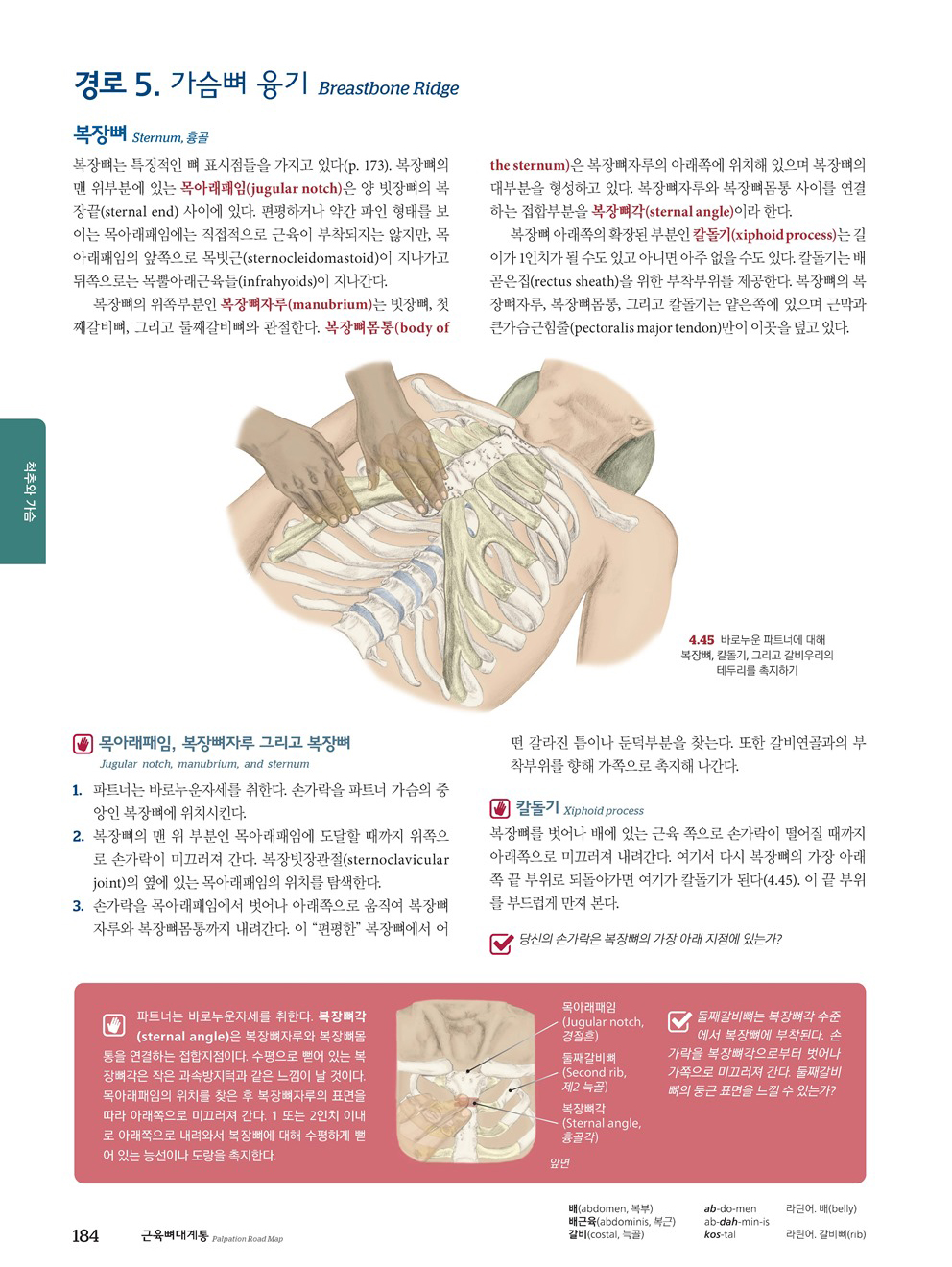 근육뼈대계통 Palpation Road map 6판