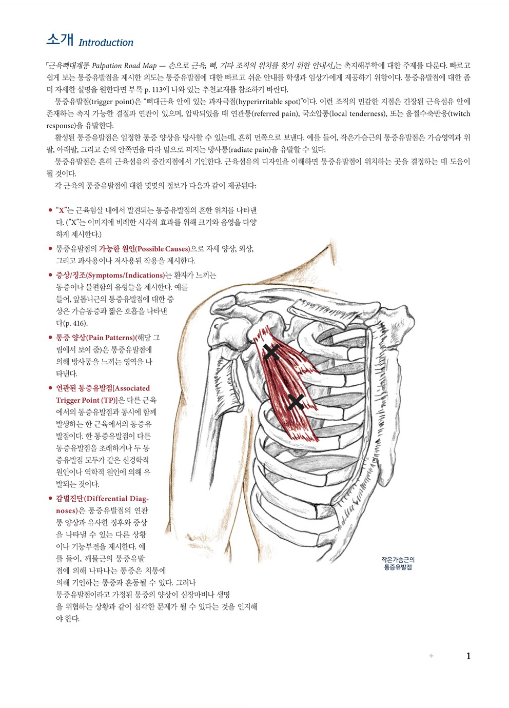 근육뼈대계통 Palpation Road map 6판