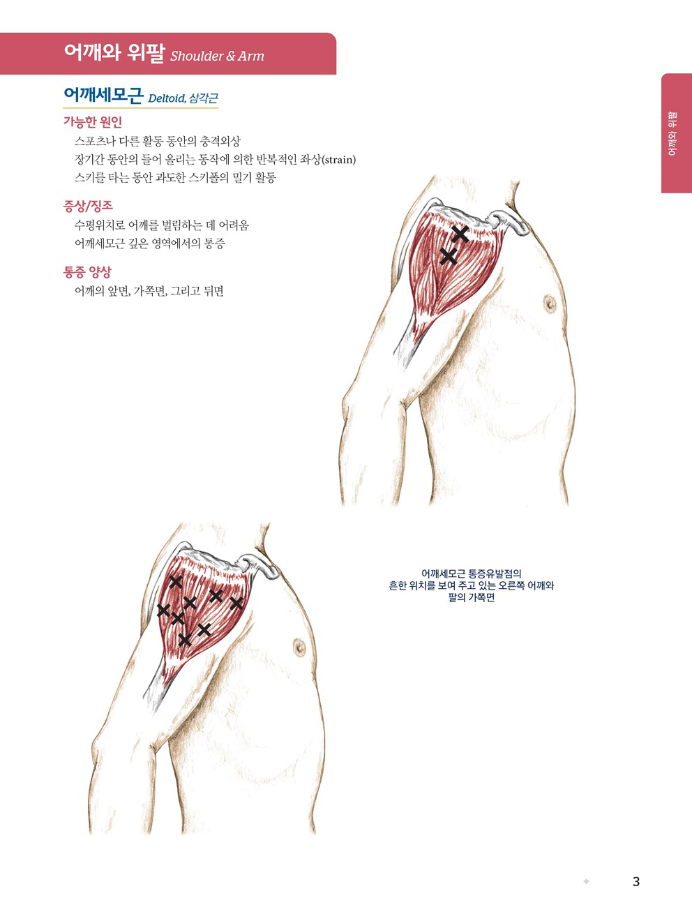 근육뼈대계통 Palpation Road map 6판