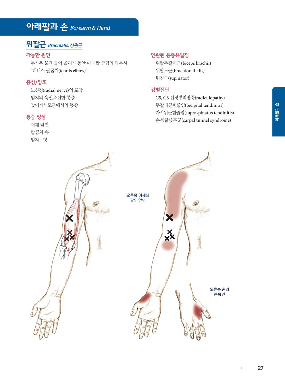 근육뼈대계통 Palpation Road map 6판