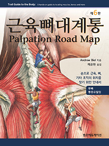 근육뼈대계통 Palpation Road map 6판