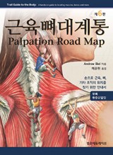 근육뼈대계통 Palpation Road map 6판