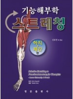 기능해부학 스트레칭: 하지 체간 편