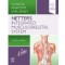 Netter's Integrated Musculoskeletal System, 1st Edition