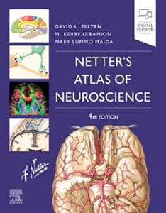 Netter's Atlas of Neuroscience 4e