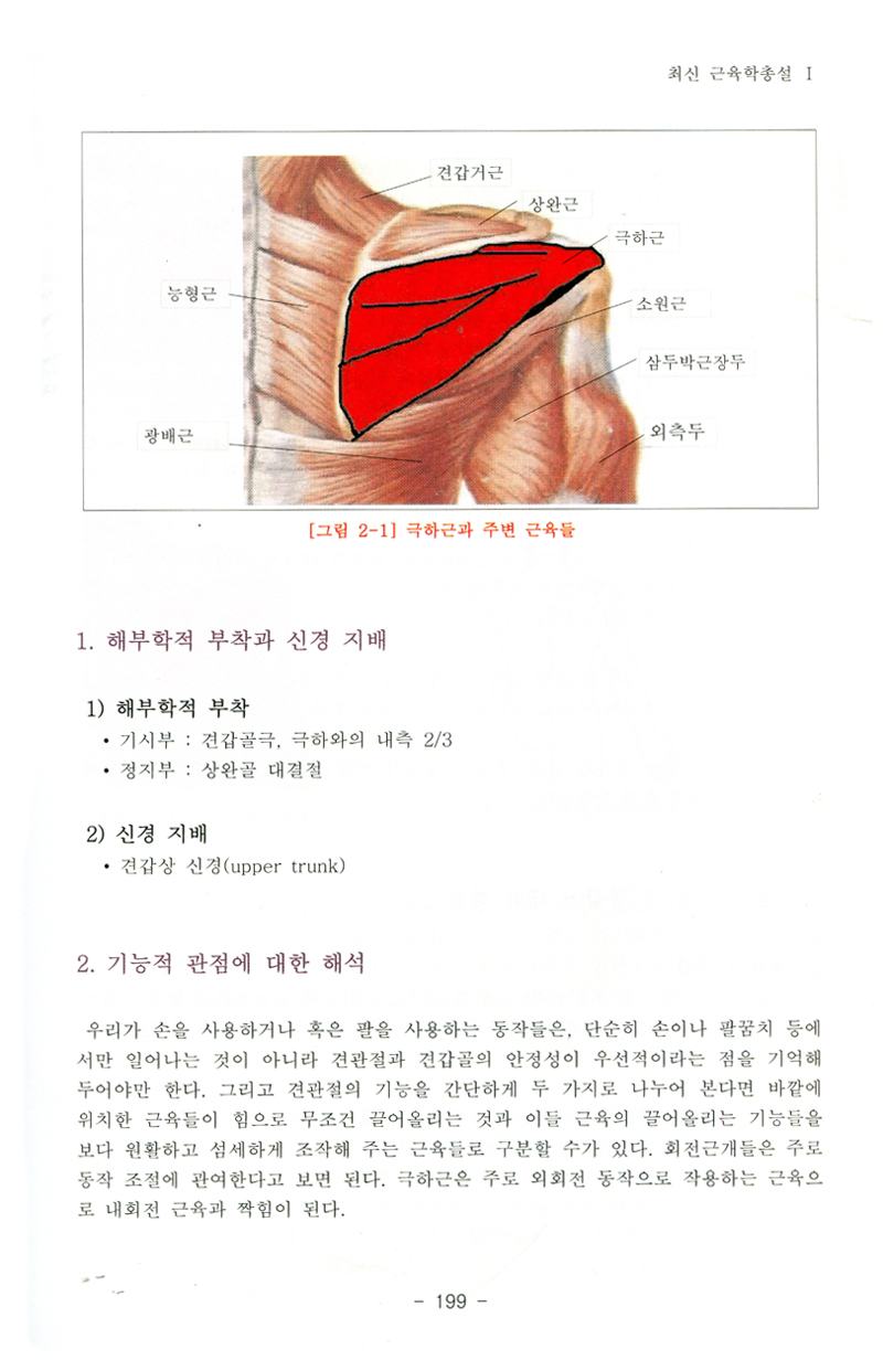 최신 근육학총설 1