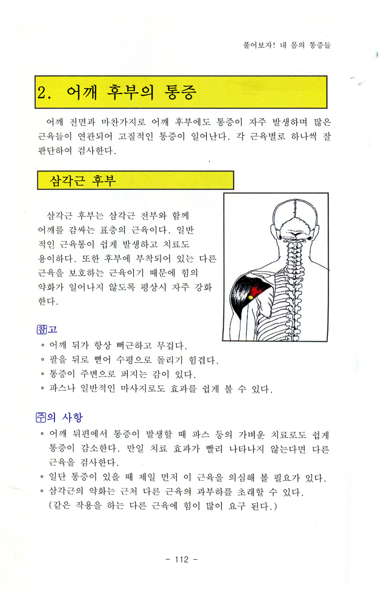 풀어보자! 내몸의 통증들 (근의하 신서3)