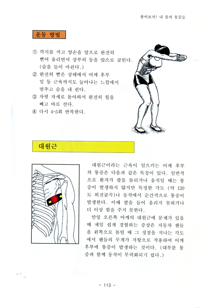 풀어보자! 내몸의 통증들 (근의하 신서3)