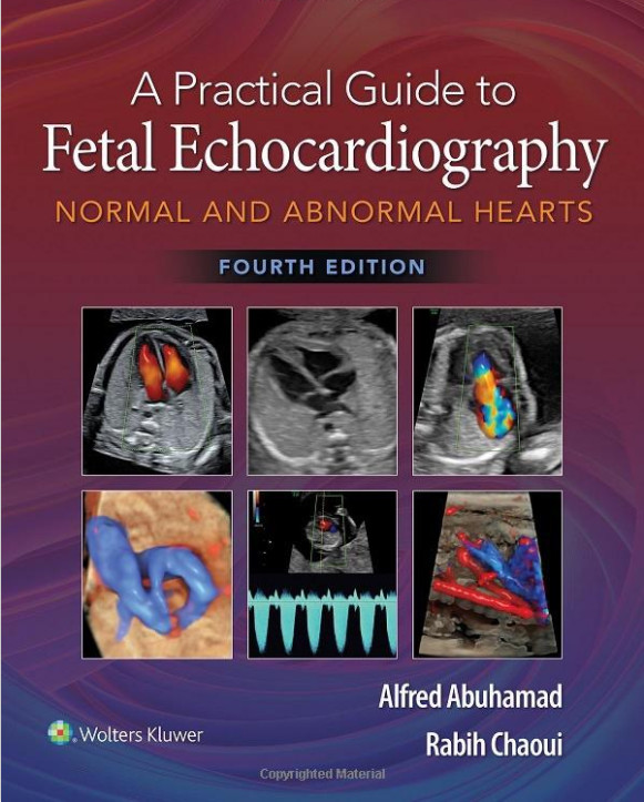 A Practical Guide to Fetal Echocardiography: Normal and Abnormal Hearts 4/e
