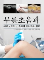 무릎초음파 해부 진단 초음파 가이드하 치료