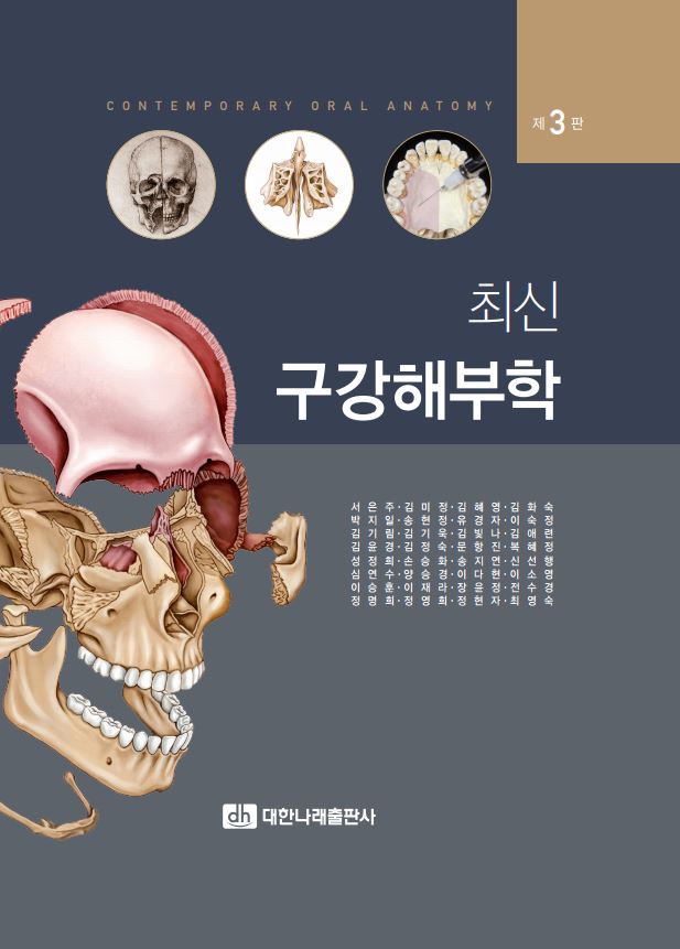 최신구강해부학 제3판