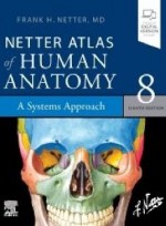 Netter Atlas of Human Anatomy: A Systems Approach ,8/e