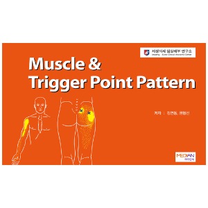 Muscle & Trigger Point Pattern Chart & Book(Upper Limb, Lower Limb) - TPI Point 차트(상지1장,하지1장)