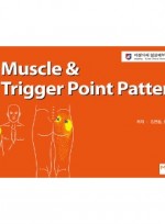 Muscle & Trigger Point Pattern Chart & Book(Upper Limb, Lower Limb) - TPI Point 차트(상지1장,하지1장)