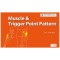 Muscle & Trigger Point Pattern Chart & Book(Upper Limb, Lower Limb) - TPI Point 차트(상지1장,하지1장)