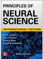 Principles of Neural Science 6e(IE)