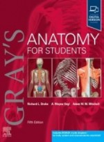 Gray's Anatomy for Students 5e