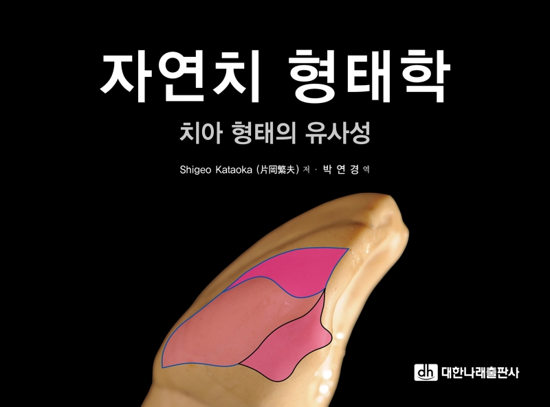 자연치 형태학 – 치아 형태의 유사성