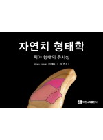 자연치 형태학 – 치아 형태의 유사성